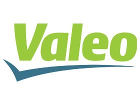 VALEO 100273